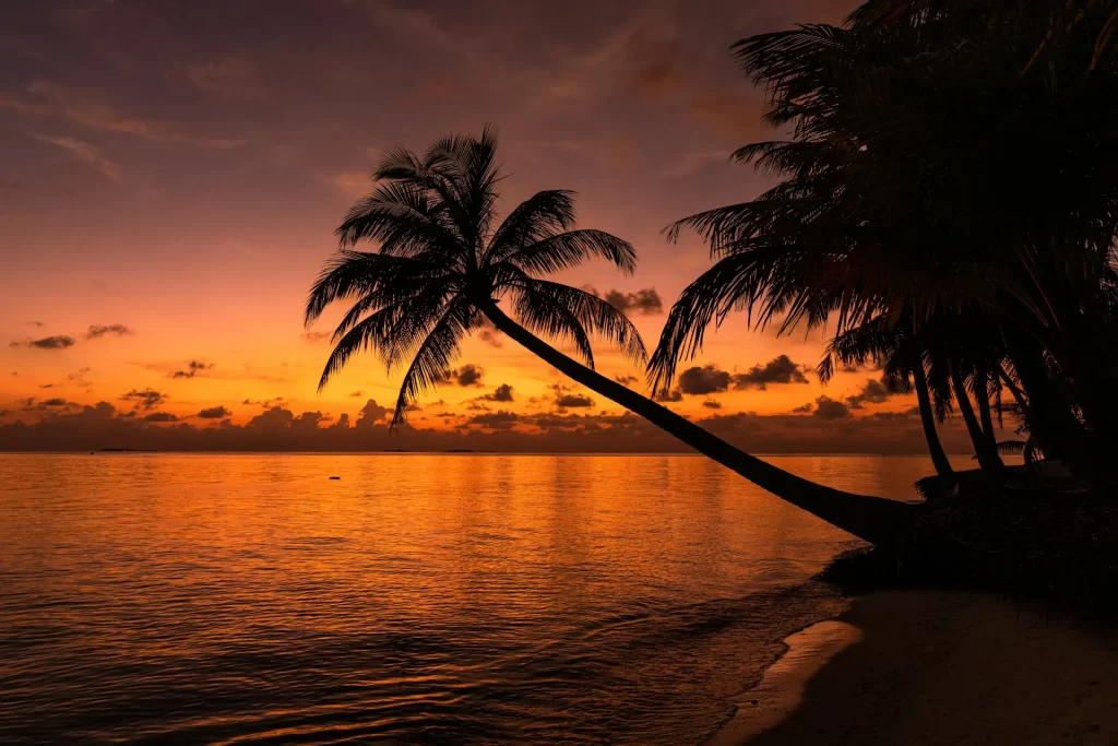 Maldives Beach Sunset